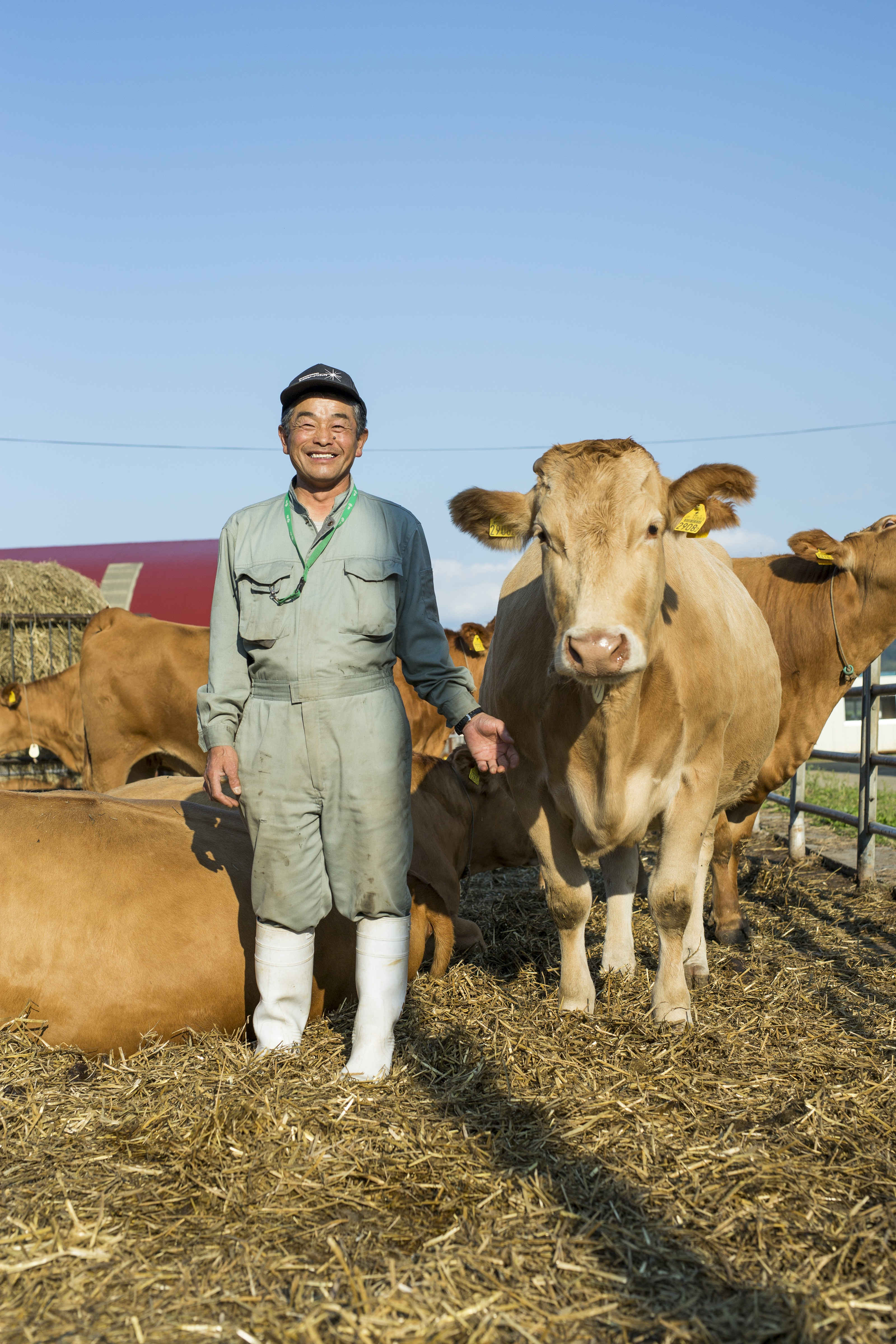 北海道の大自然でストレスフリーで育った牛!