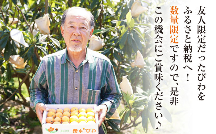 びわ ビワ（長崎早生） 約1.5kg 西海市 ビワ びわ 琵琶 果物 フルーツ 