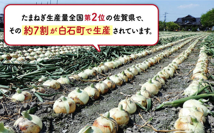 道の駅直送！とろける甘さとシャキシャキ食感