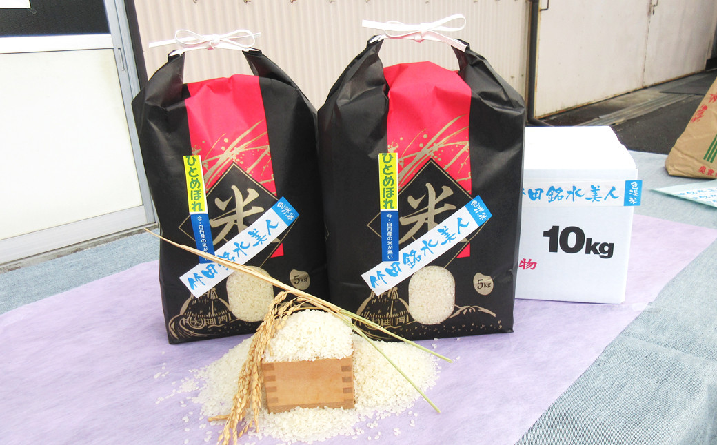 令和7年産 竹田銘水美人色選米 白丹産特別栽培米 ひとめぼれ 10kg