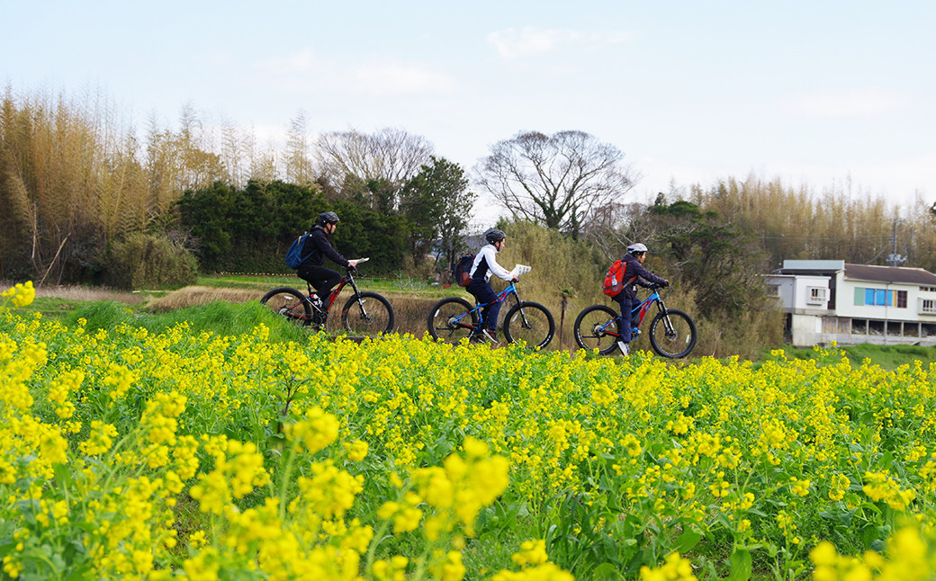 1月～３月は満開の菜の花を満喫