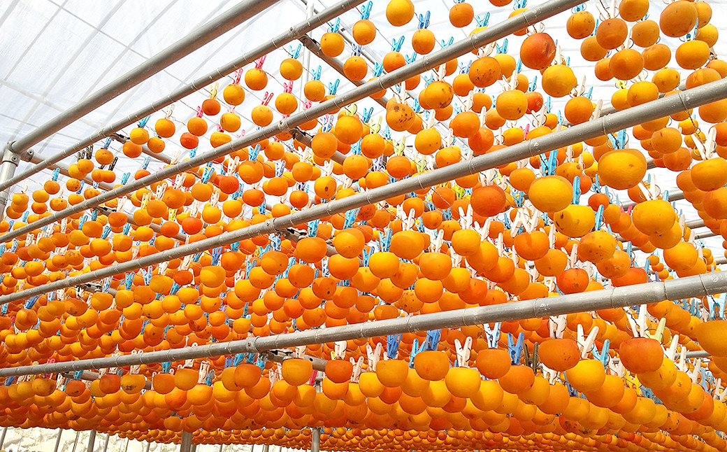 柿皮そうめん ドン！！ 合計1kg 200g（50g×4束）×5セット 乾麺 素麺