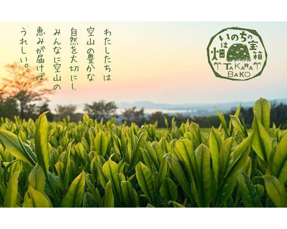 お茶 紅茶 茶葉 お茶葉  松江 ティータイム 有機紅茶 島根 松江 おすすめ