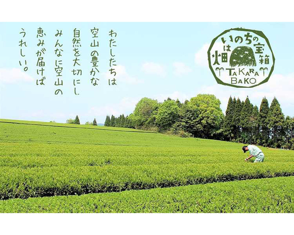 お茶 紅茶 茶葉 お茶葉  松江 ティータイム 有機紅茶 島根 松江 おすすめ