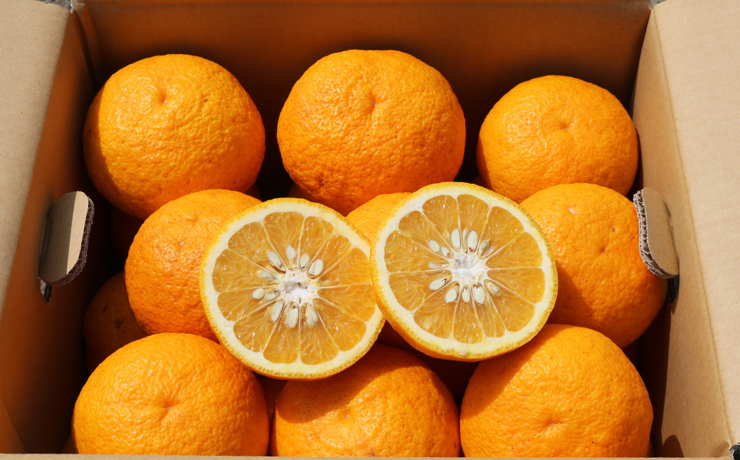 段ボールに詰めてお届けします。