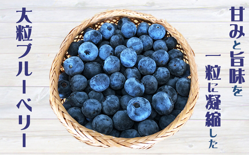 大粒で、甘みと旨味を一粒に凝縮したブルーベリー（ラビットアイ種）を冷凍してお届けします。