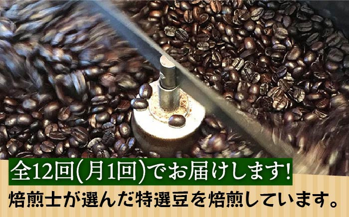 コーヒー 珈琲 コーヒー豆 自家焙煎 大容量