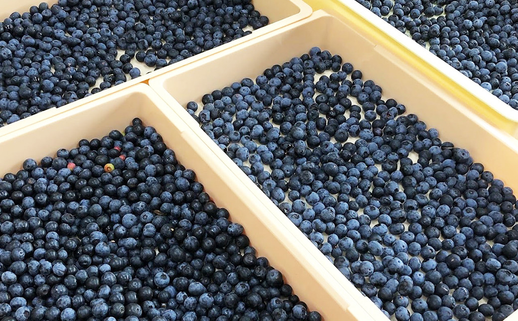 「ブルーベリーがこんなに美味しいなんて！」と、直売所に並んだとたん売り切れてしまう人気のブルーベリーを贅沢に使用。