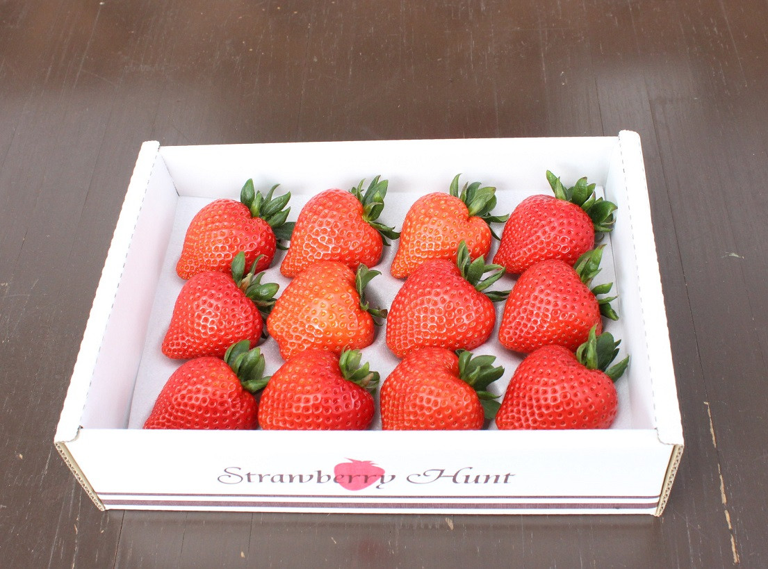 写真の品はイメージですので、実物とは印象が異なる場合があります。
