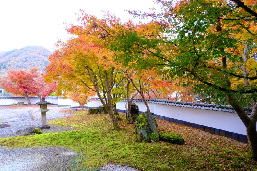 新緑や紅葉を楽しめる庭園もあります。