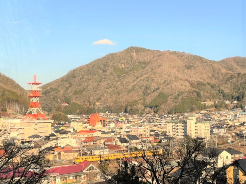 近くにJR新見駅があり、電車や汽車を眺めることもできます。