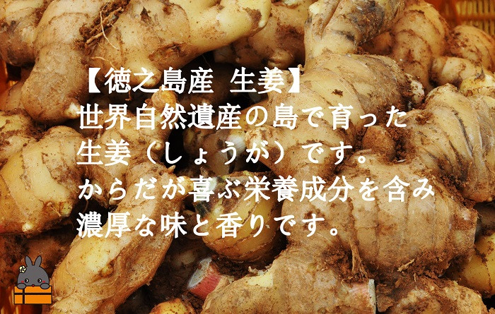 からだが喜ぶ美味しさです!