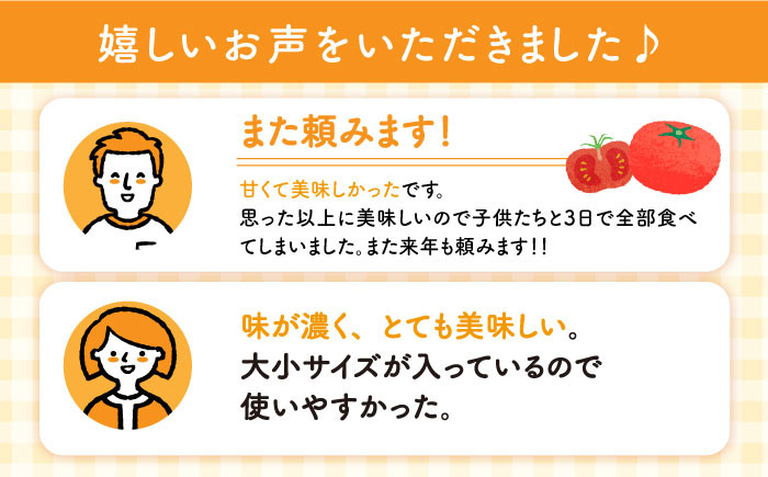 キッストマト 約3kg