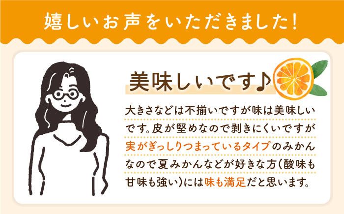 はれひめ 4kg みかん