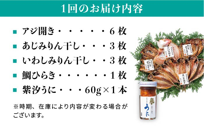 人気   うに ウニ 雲丹  新鮮 海鮮 特産品 贈り物 ギフト   魚介 ごは