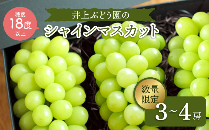 シャインマスカット 3～4房（約1.5～2kg）