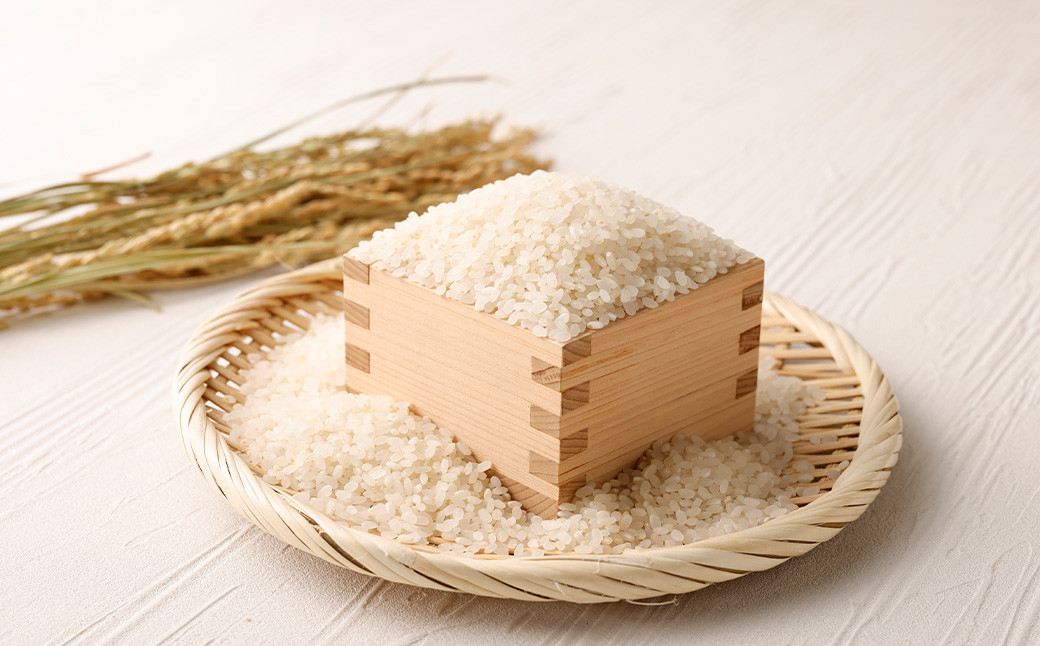 極源流米 計15kg（5kg×3袋） 令和7年度産 夢つくし