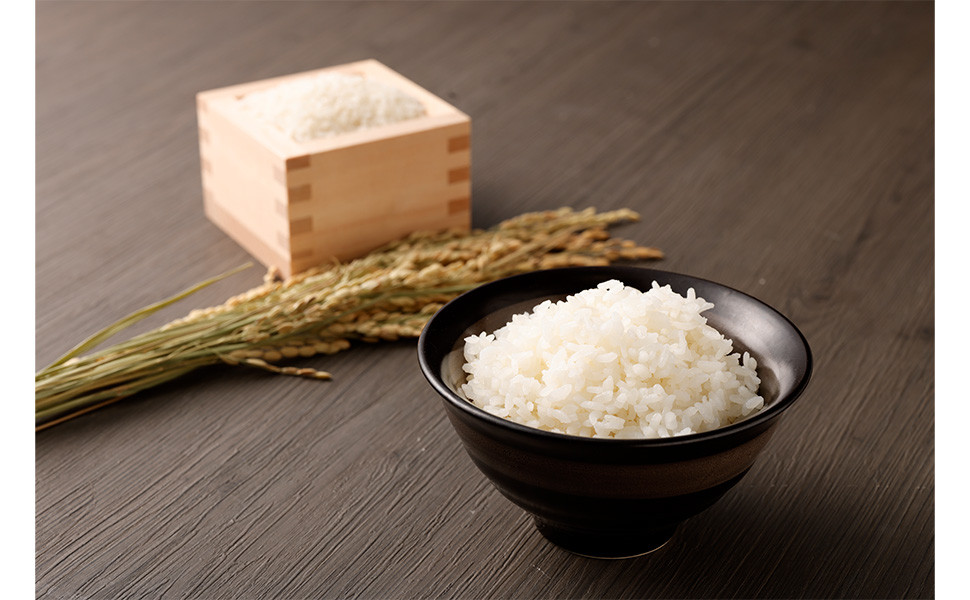 極源流米 5kg 令和7年度産 夢つくし 