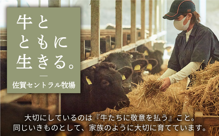 【FARM to TABLE】農場から食卓へ、牧場直送でお届け！