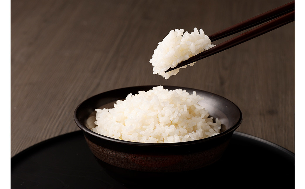 極源流米 計10kg（5kg×2袋） 令和7年度産 夢つくし 元気つくし