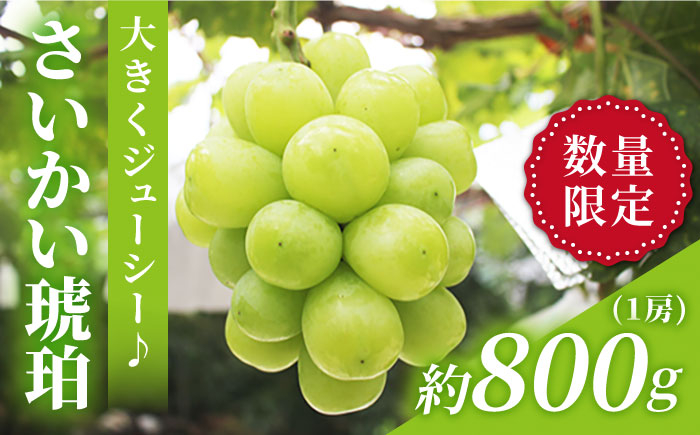 シャインマスカット ますかっと ぶどう