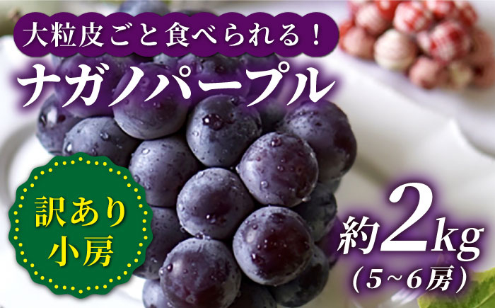 ぶどう ブドウ