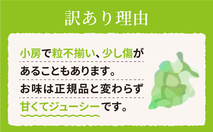 シャインマスカット ますかっと ぶどう