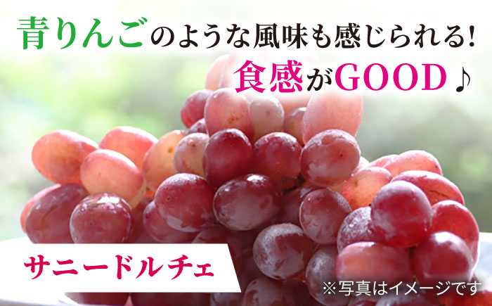 シャインマスカット ますかっと ぶどう