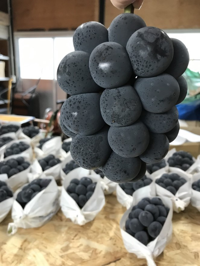 丁寧に作っています。