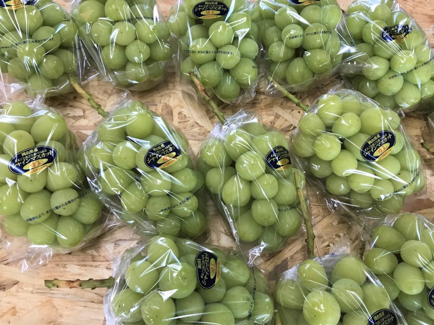 早朝に収穫して、その日のうちに発送します。