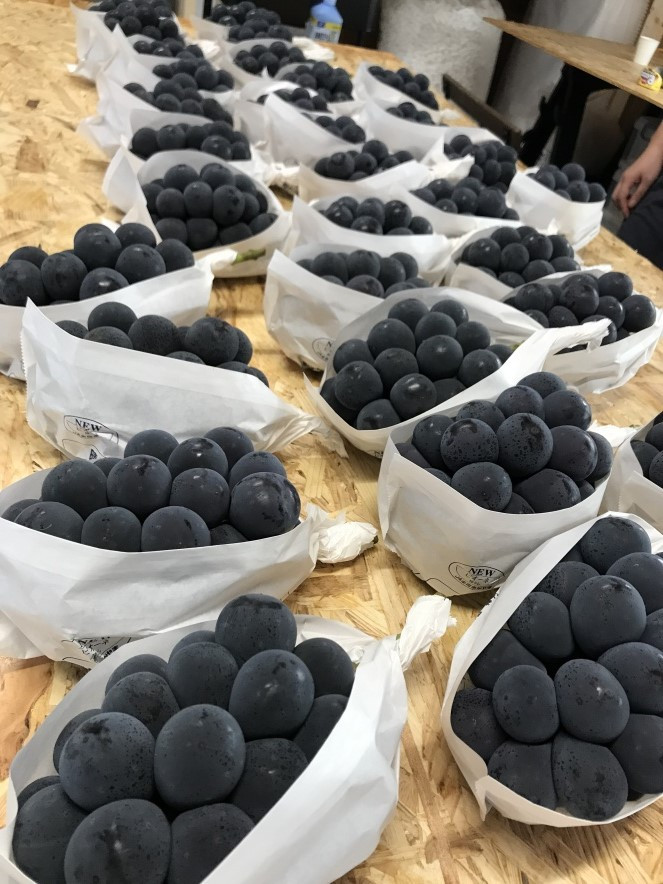 一口でパクっとほおばってください。皮離れもしやすく食べやすいです。