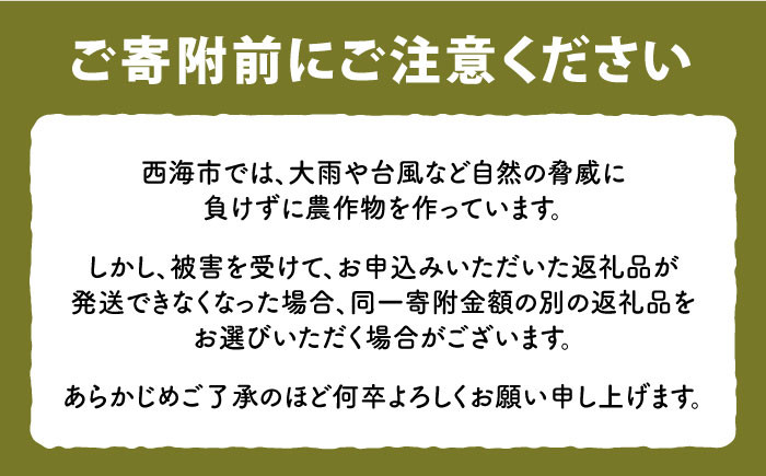 白米 米 ひのひかり なつほのか  こめ ごはん ご飯 新米 10kg