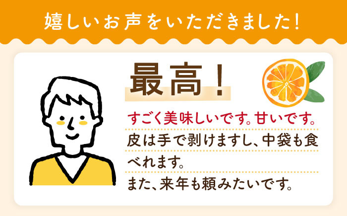 みかん 麗紅 5kg