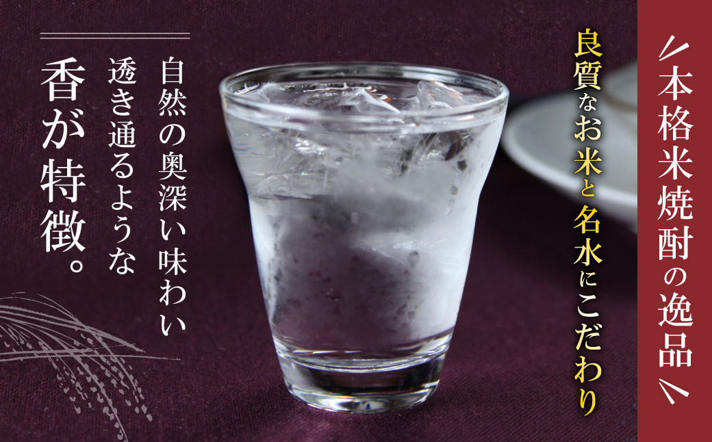 【年6回定期便】 限定川辺 720ml 2本セット 本格 純米 焼酎 25度 お酒