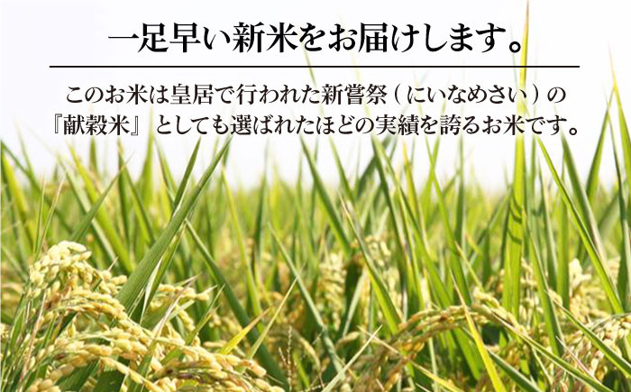 令和4年の新米をいち早くお届け！