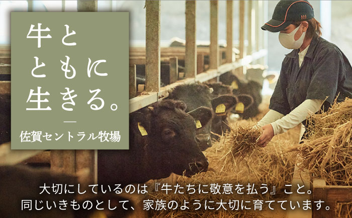 【FARM to TABLE】農場から食卓へ、牧場直送でお届け!