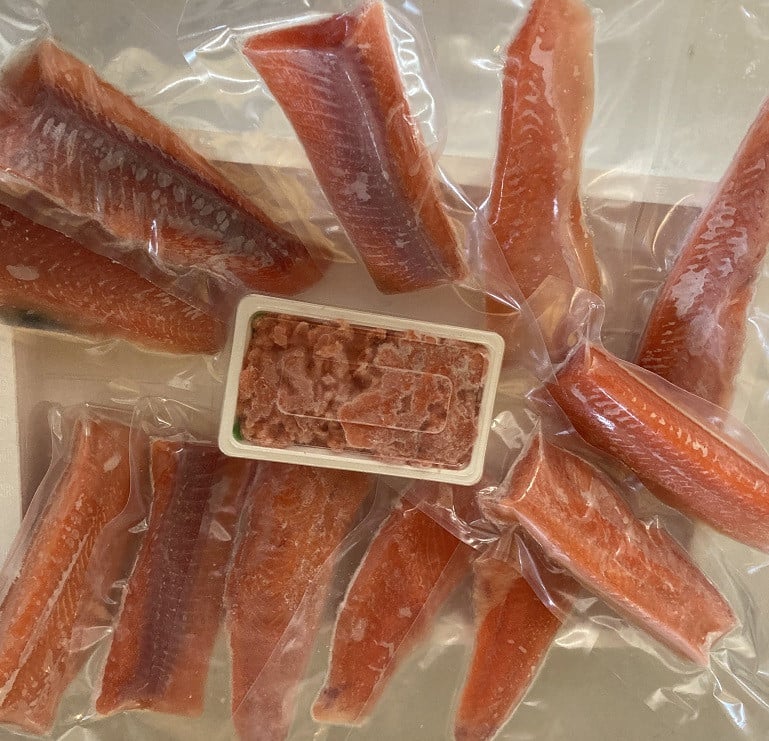 北海道池田町より大人気の国産ドナルドサーモン(生食用)が新登場!