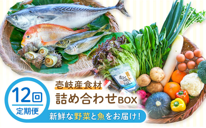 おすすめ オススメ こだわり ギフト 人気 特産品 セット 野菜 詰め合わせ
