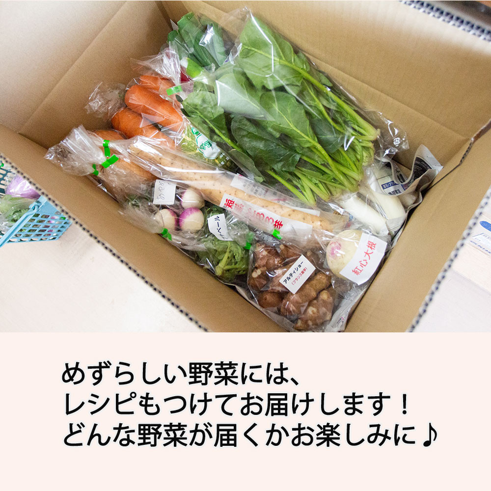 季節のおすすめ野菜おまかせ詰め合わせ3ヵ月定期便 8種～12種類 野菜セット 【16003】