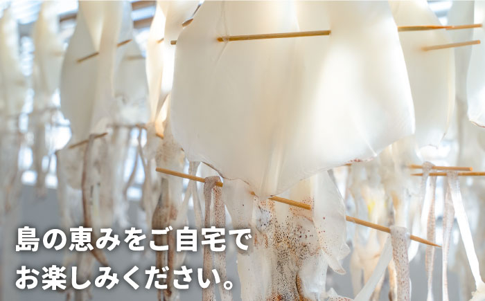 人気 魚介 ごはんのお供 朝食 昼食 夕食 夜食 セット 朝食 昼食 夕食