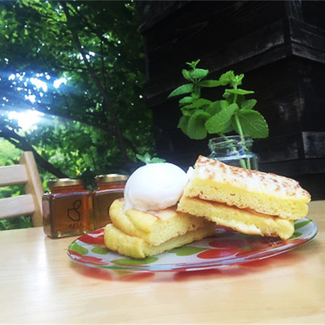 国産純粋はちみつ「耕野のはちみつ」ジェラート2種8個セット 【21003】