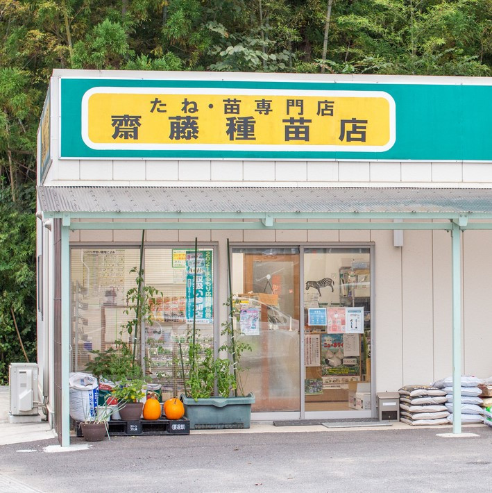 季節のおすすめ野菜おまかせ詰め合わせ3ヵ月定期便 8種～12種類 野菜セット 【16003】