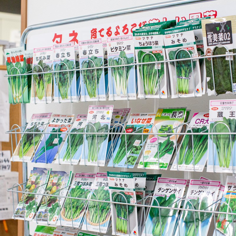季節のおすすめ野菜おまかせ詰め合わせ6ヵ月定期便 8種～12種類 野菜セット 【16004】