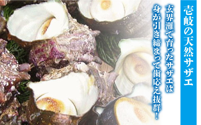 人気 贈り物 ギフト