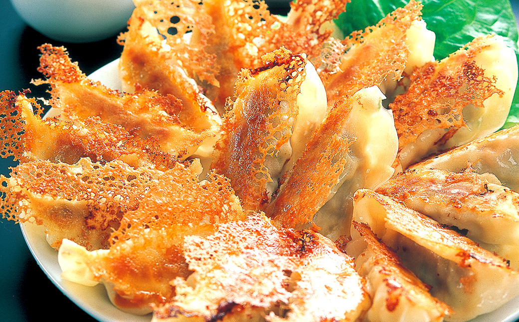 【3ヶ月定期便】 餃子の王国 黒豚 生餃子 105個×3ヶ月 255g(15個)×7パック ×3回