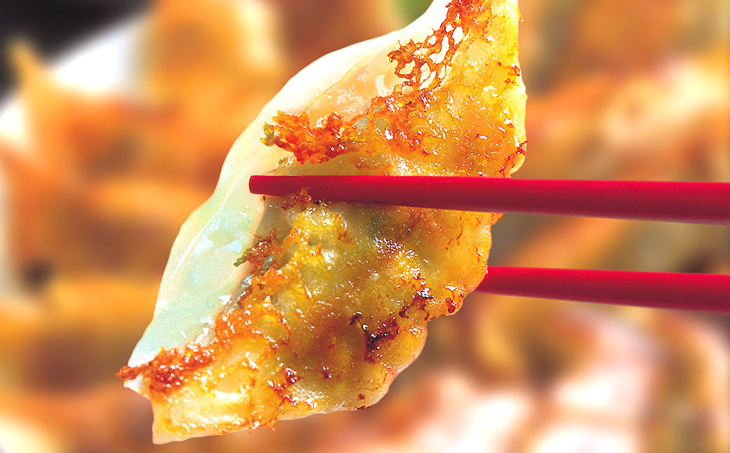 【3ヶ月定期便】 餃子の王国 黒豚 生餃子 105個×3ヶ月 255g(15個)×7パック ×3回
