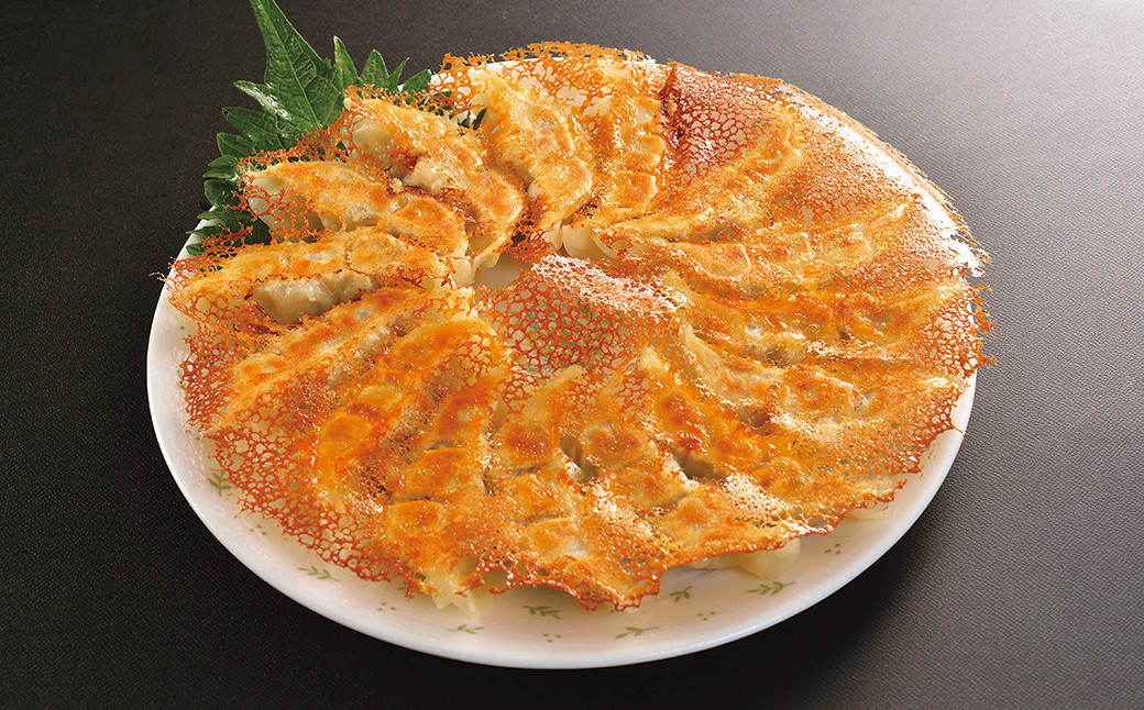 【6ヶ月定期便】 餃子の王国 黒豚 生餃子 105個×6ヶ月 255g(15個)×7パック ×6回