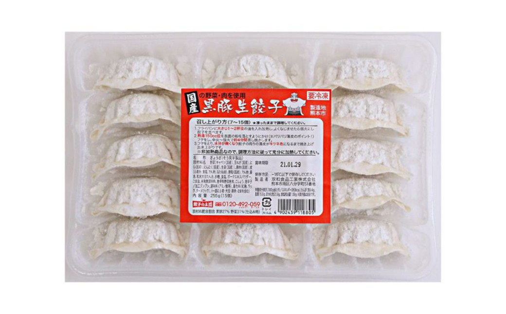 【6ヶ月定期便】 餃子の王国 黒豚 生餃子 105個×6ヶ月 255g(15個)×7パック ×6回