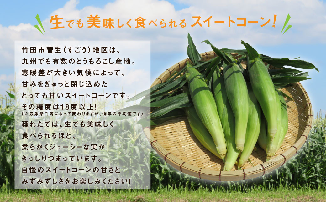 【卯野農場】産地直送！生でも美味しい 朝採れ スイートコーン 10本 3.5kg以上 とうもろこし コーン