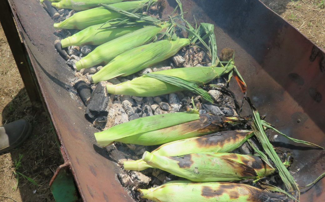 【卯野農場】産地直送！生でも美味しい 朝採れ スイートコーン 10本 3.5kg以上 とうもろこし コーン